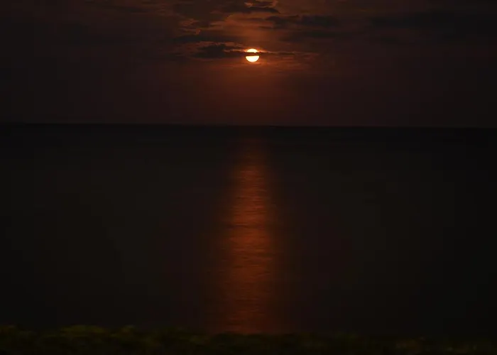 公寓式酒店 Alexandra Vrasná