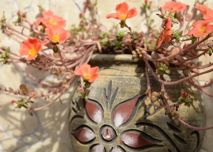 公寓式酒店 Alexandra Vrasná